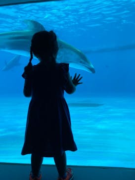 鴨川シーワールドに投稿された画像（2022/6/20）