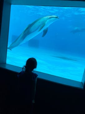 鴨川シーワールドに投稿された画像（2022/6/20）