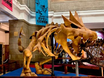 国立科学博物館　特別企画展「ポケモン化石博物館」に投稿された画像（2022/6/20）
