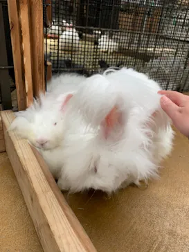 神戸どうぶつ王国に投稿された画像（2022/6/20）