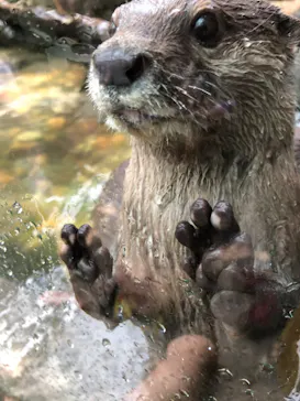 神戸どうぶつ王国に投稿された画像（2022/6/20）