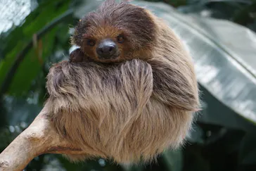 神戸どうぶつ王国に投稿された画像（2022/6/20）