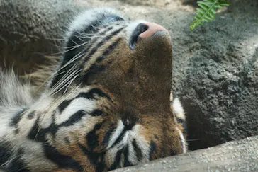 神戸どうぶつ王国に投稿された画像（2022/6/20）