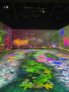 森ビル デジタルアート ミュージアム：エプソン チームラボボーダレスに投稿された画像（2022/6/20）