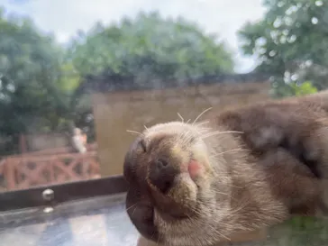 横浜・八景島シーパラダイスに投稿された画像（2022/6/20）