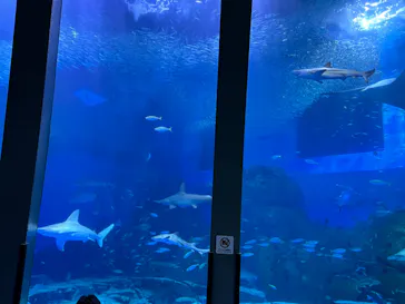 横浜・八景島シーパラダイスに投稿された画像（2022/6/20）