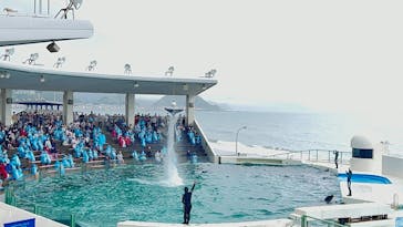 鴨川シーワールドに投稿された画像（2022/6/20）