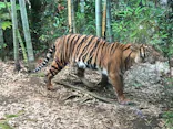 よこはま動物園ズーラシアに投稿された画像（2022/6/20）