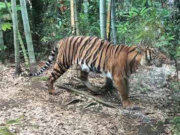 よこはま動物園ズーラシアに投稿された画像（2022/6/20）