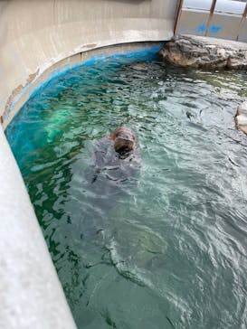 鴨川シーワールドに投稿された画像（2022/6/20）