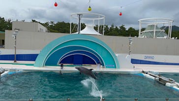 鴨川シーワールドに投稿された画像（2022/6/20）