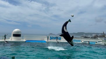 鴨川シーワールドに投稿された画像（2022/6/20）