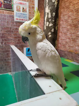 ひらかたパークに投稿された画像（2022/6/20）