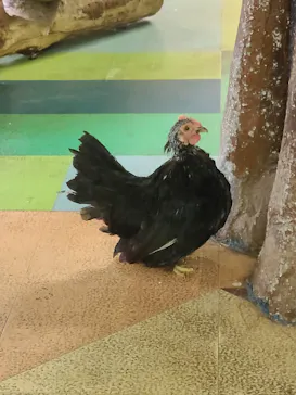 ひらかたパークに投稿された画像（2022/6/20）