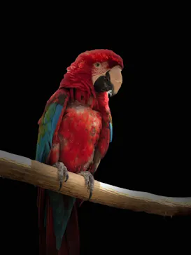 神戸どうぶつ王国に投稿された画像（2022/6/20）