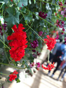 神戸どうぶつ王国に投稿された画像（2022/6/20）