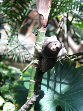 神戸どうぶつ王国に投稿された画像（2022/6/20）