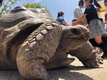 神戸どうぶつ王国に投稿された画像（2022/6/20）