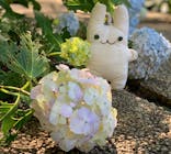 豊島園 庭の湯に投稿された画像（2022/6/21）