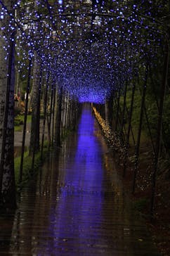 美らヤシパークオキナワ・東南植物楽園に投稿された画像（2022/6/21）