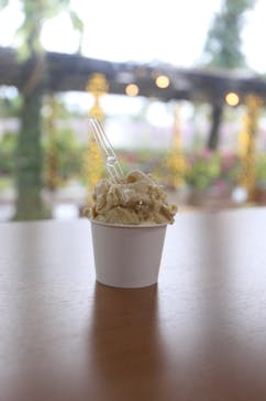 美らヤシパークオキナワ・東南植物楽園に投稿された画像（2022/6/21）