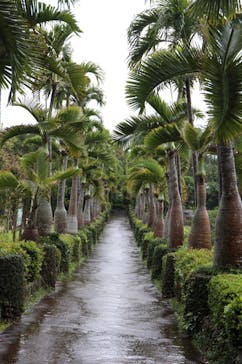 美らヤシパークオキナワ・東南植物楽園に投稿された画像（2022/6/21）