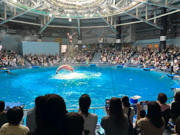 マクセル アクアパーク品川に投稿された画像（2022/6/21）