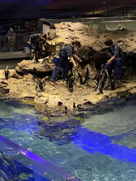 すみだ水族館に投稿された画像（2022/6/21）