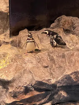 すみだ水族館に投稿された画像（2022/6/21）