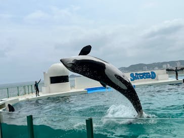 鴨川シーワールドに投稿された画像（2022/6/21）