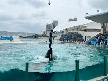 鴨川シーワールドに投稿された画像（2022/6/21）