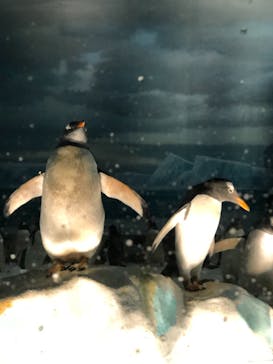 名古屋港水族館に投稿された画像（2022/6/21）