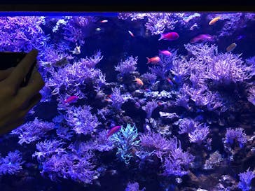 名古屋港水族館に投稿された画像（2022/6/21）