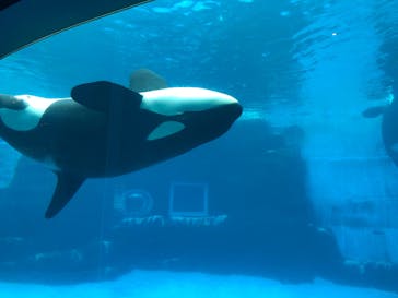 名古屋港水族館に投稿された画像（2022/6/21）