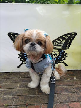 ニューヨークランプミュージアム＆フラワーガーデンに投稿された画像（2022/6/21）