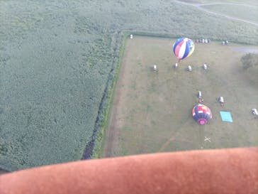 ウイニングバルーンクラブに投稿された画像（2022/6/21）