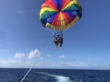 Sea World（シーワールド）に投稿された画像（2022/6/21）