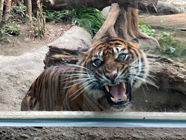 神戸どうぶつ王国に投稿された画像（2022/6/21）