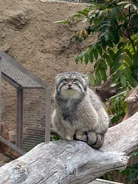 神戸どうぶつ王国に投稿された画像（2022/6/21）