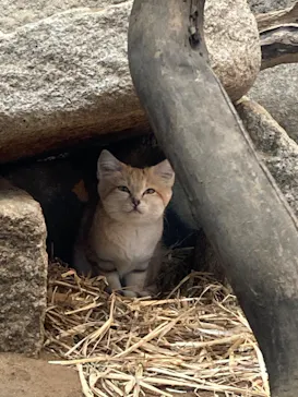 神戸どうぶつ王国に投稿された画像（2022/6/21）