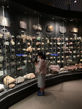 国立科学博物館に投稿された画像（2022/6/21）