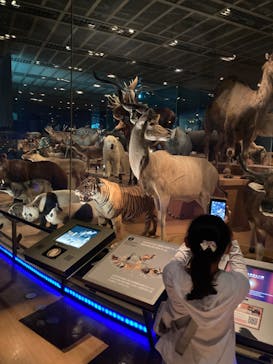 国立科学博物館に投稿された画像（2022/6/21）