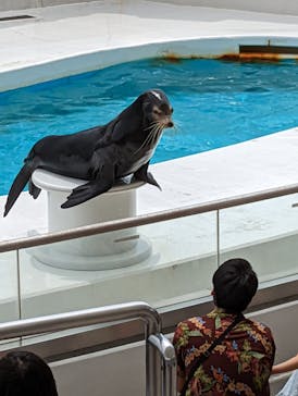 鴨川シーワールドに投稿された画像（2022/6/21）