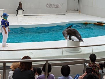 鴨川シーワールドに投稿された画像（2022/6/21）