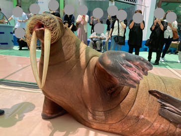 ゼロ距離水族館 伊勢シーパラダイスに投稿された画像（2022/6/21）