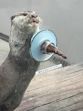 横浜・八景島シーパラダイスに投稿された画像（2022/6/21）