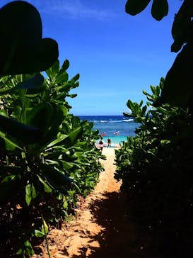 宮古島 ADVENTURE PiPi（ミヤコジマ アドベンチャー ピピ）に投稿された画像（2022/6/22）