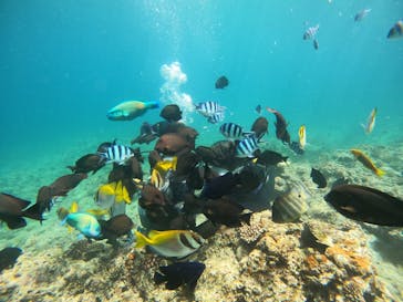 沖縄マリンサービス碧に投稿された画像（2022/6/22）