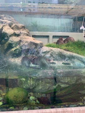 サンシャイン水族館に投稿された画像（2022/6/22）