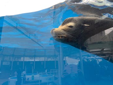 サンシャイン水族館に投稿された画像（2022/6/22）